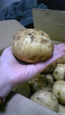 赤土ばれいしょ