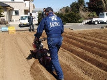 ジャガールファームじゃがいも植え付け