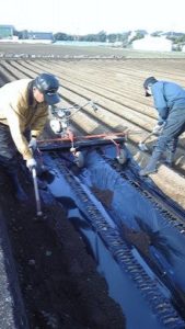 ジャガールファーム　じゃがいもマルチはり