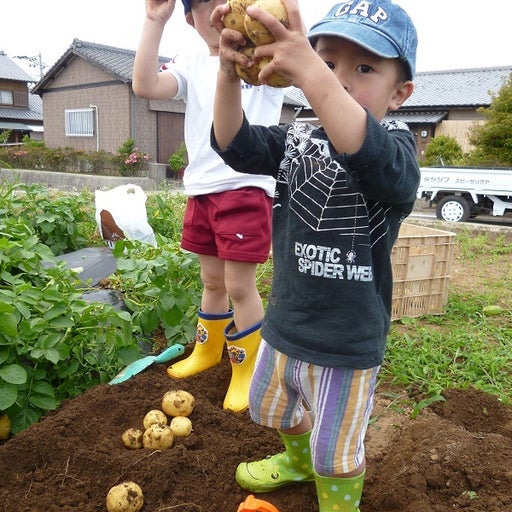 ジャガールファーム