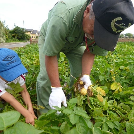 ジャガールファーム