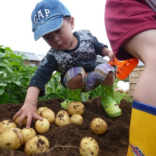 ジャガールファーム