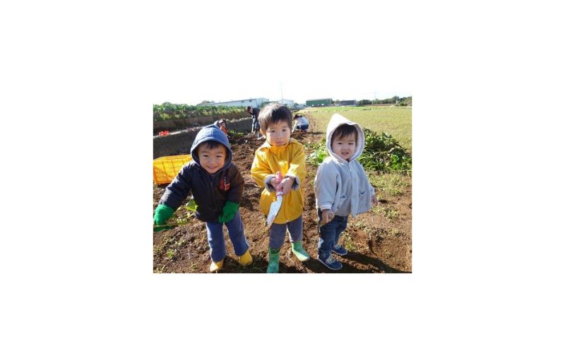 ジャガールファーム