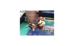 ジャガール通信