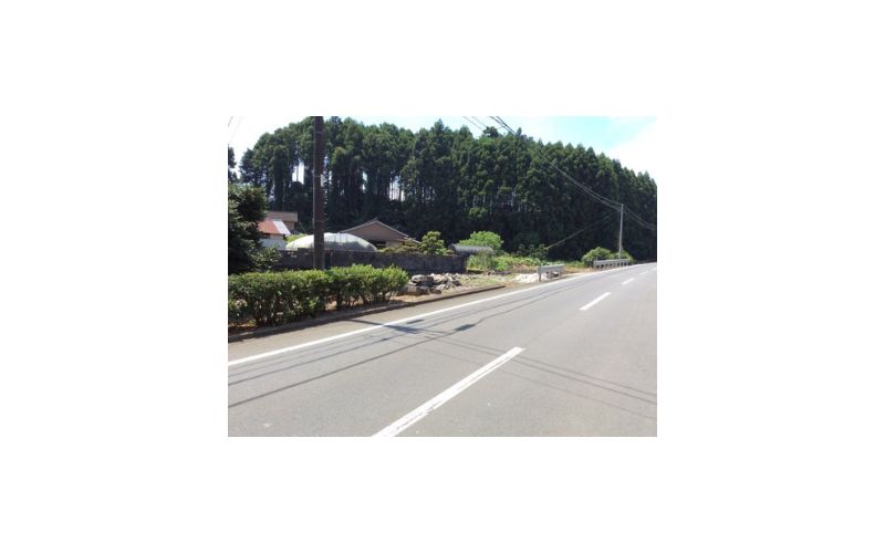 ピオーネやさん