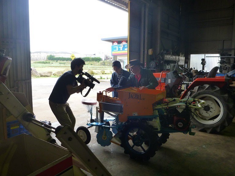 ひまわりてれび