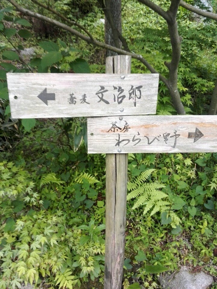 わらび野