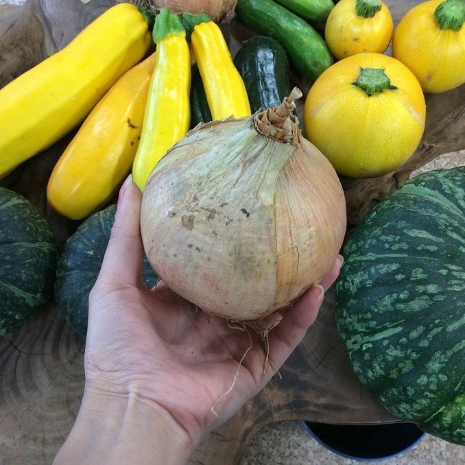 夏野菜