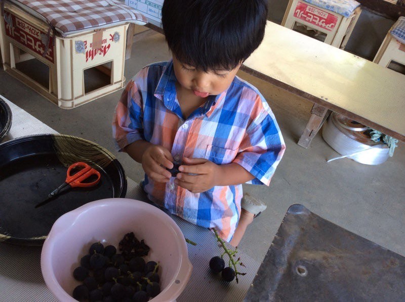 ピオーネやさん