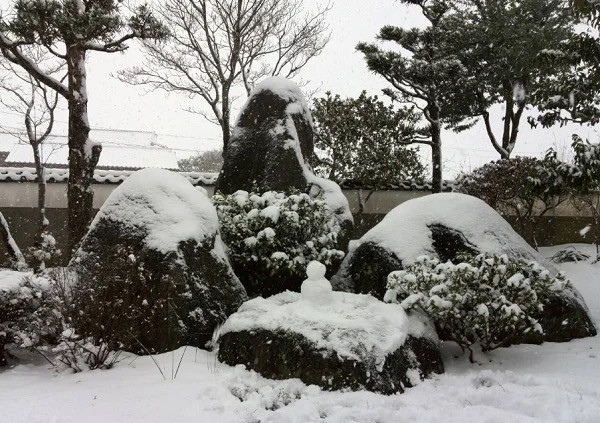 雪体験
