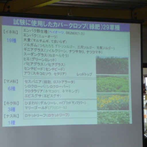 緑肥蒔き勉強会