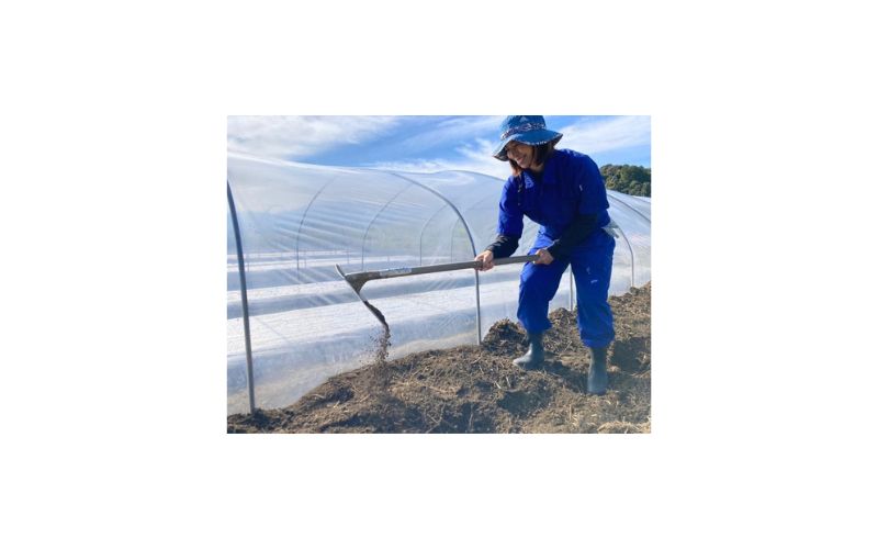 ビニールハウスづくり