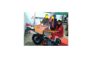 ジャガ植えシーズン