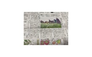 西日本新聞