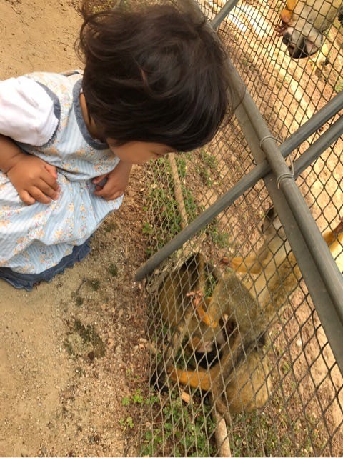 生後１才３ヶ月