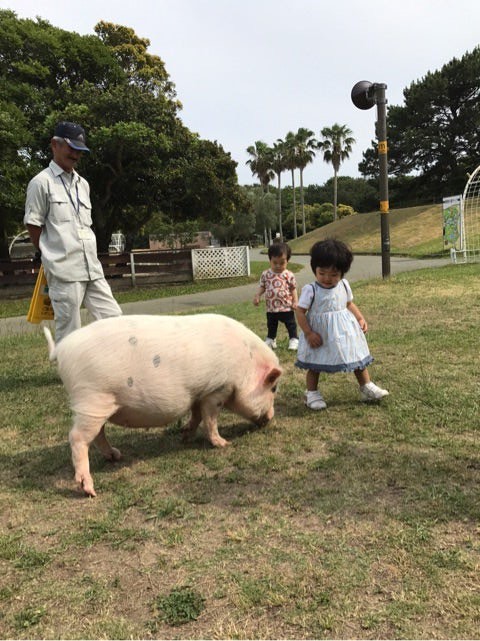 生後１才３ヶ月