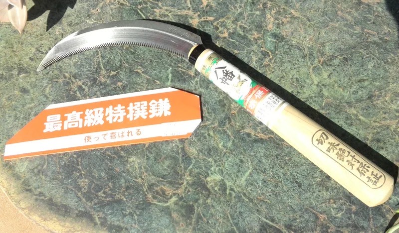 稲刈りシーズン