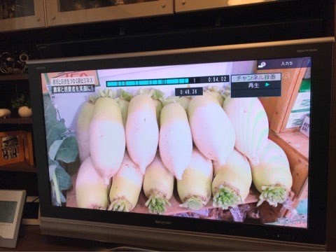 カンブリア宮殿