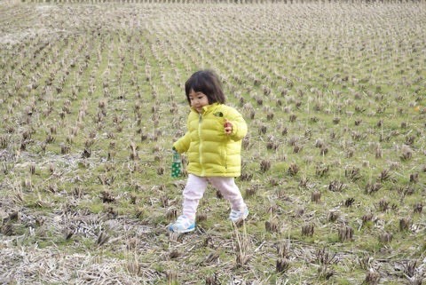 明けましておめでとうございます