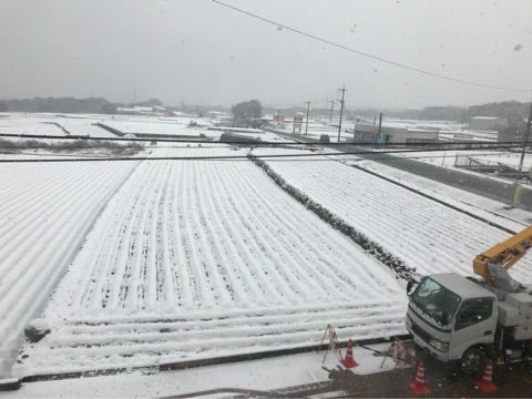 雪