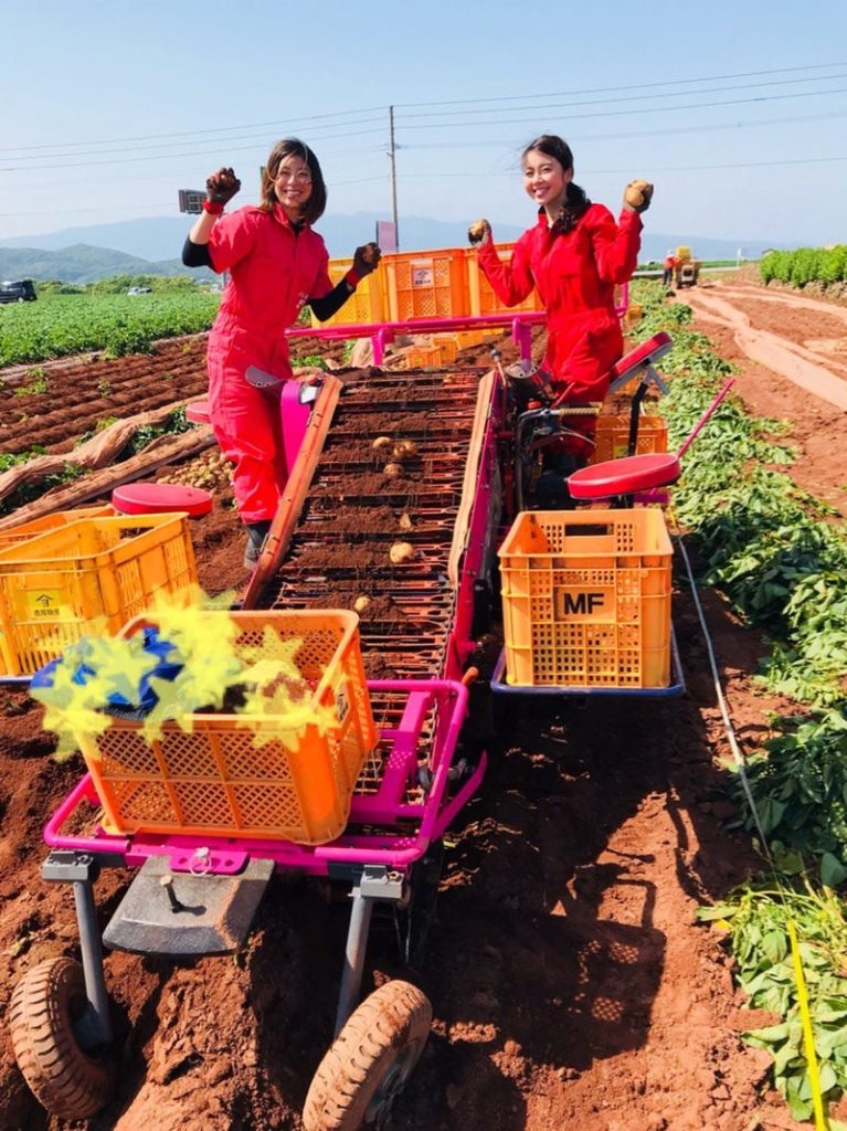 ブルガールのタオル