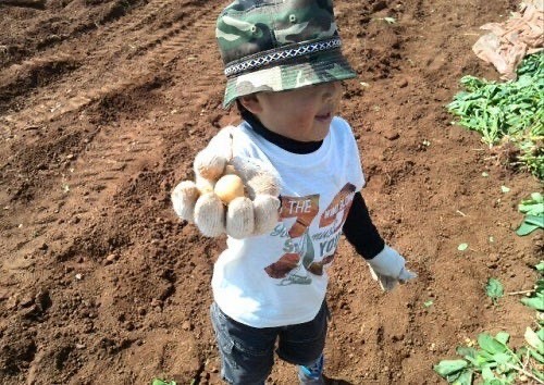 ボクの畑でじゃが堀りフェスタ