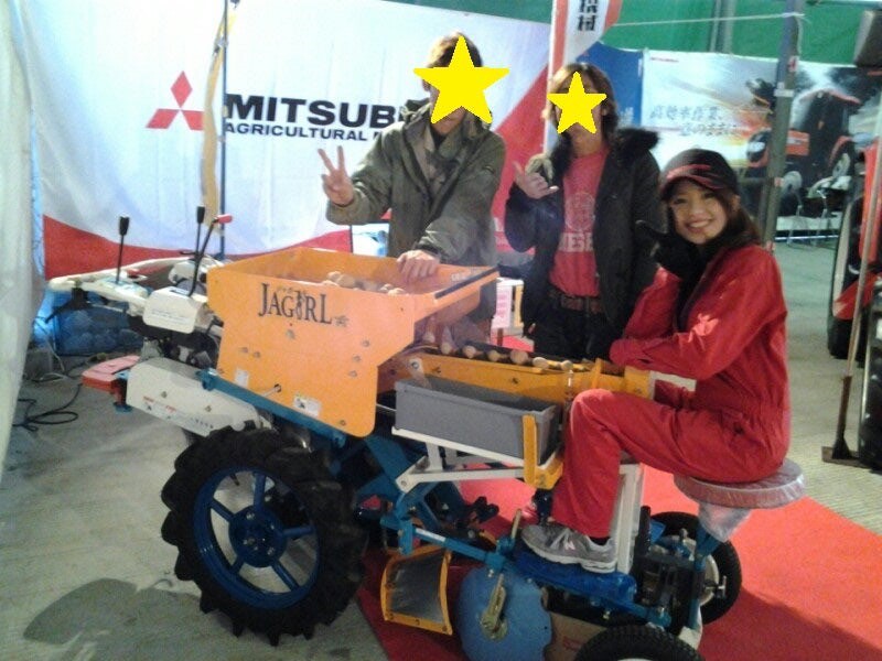 ジャガ植えシーズン