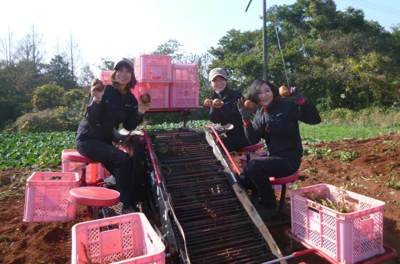 ブルガールとジャガールタンクセット