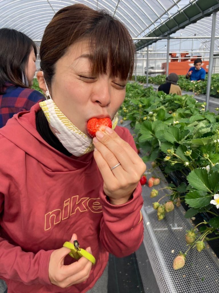 いちご狩り