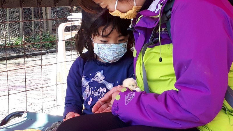 ピクニカ共和国