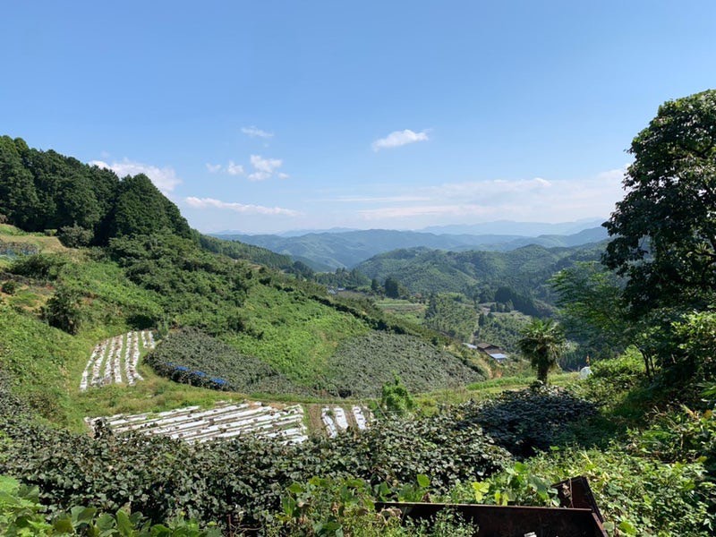 ジャガールタンク