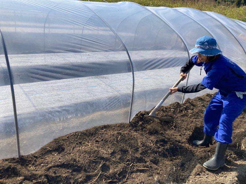 ビニールハウスづくり