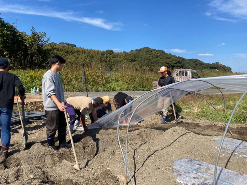 ビニールハウスづくり