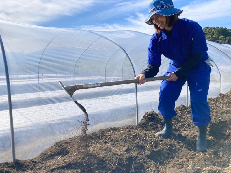 ビニールハウスづくり