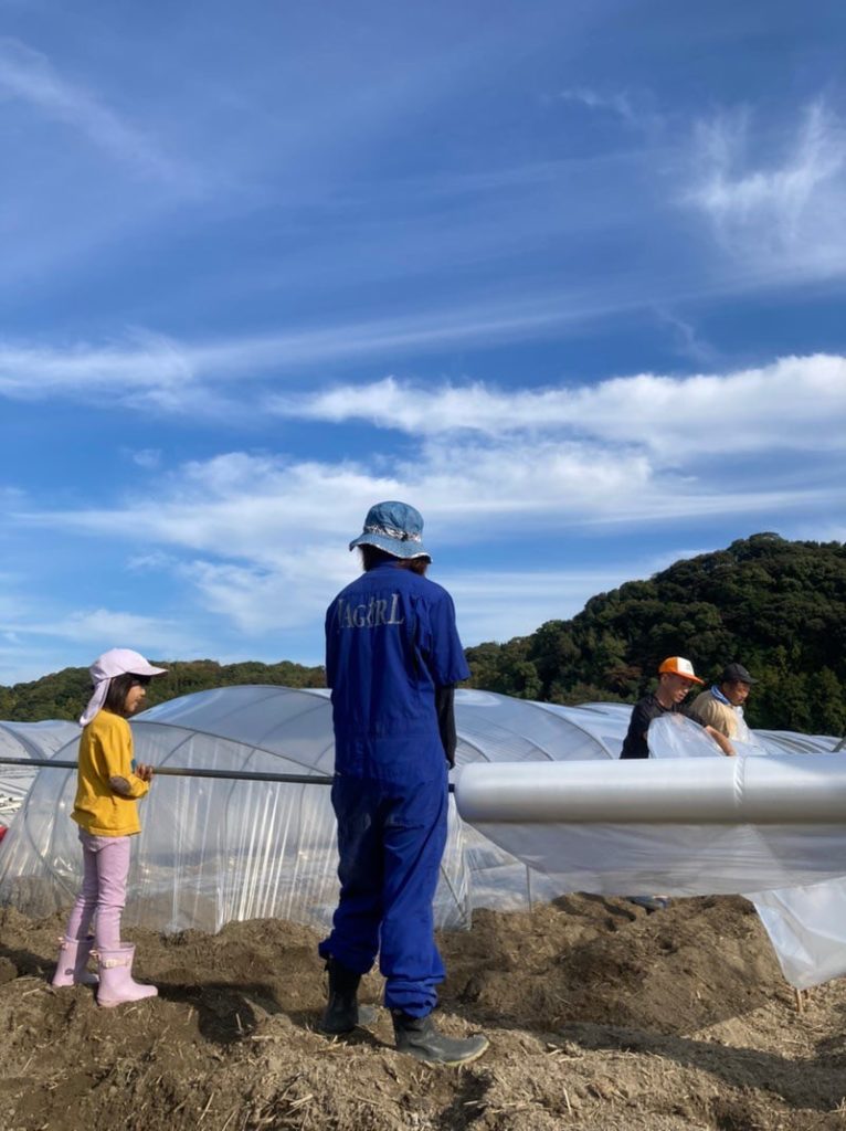 ビニールハウスづくり