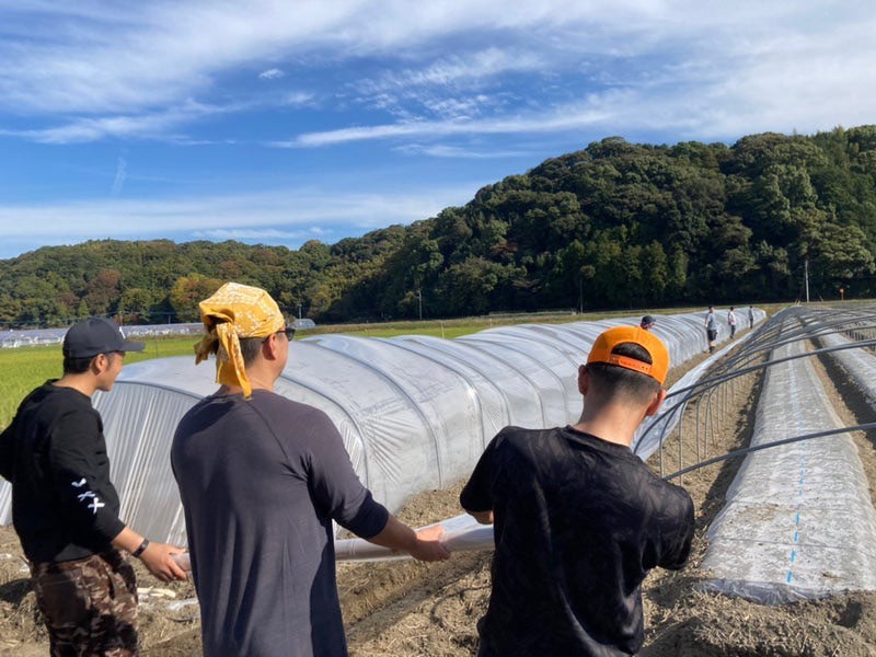 ビニールハウスづくり