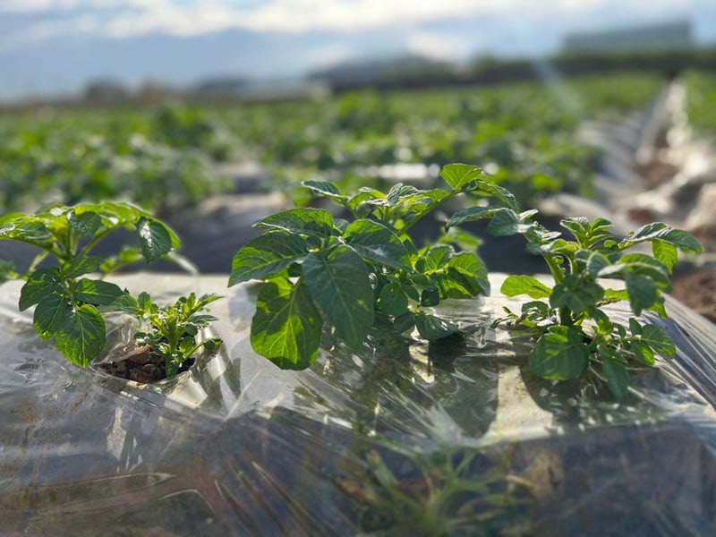フリースクール山ねこさん