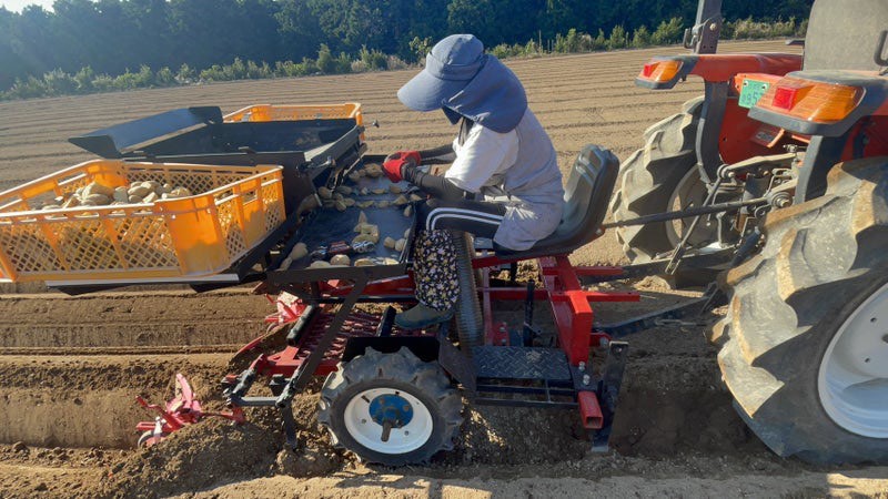 ジャガールダブル