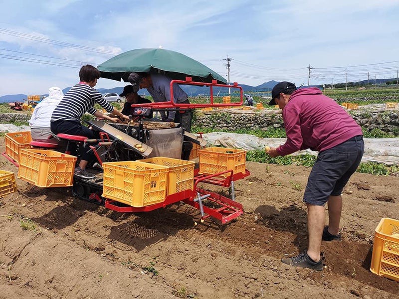 フィリピン中央大学