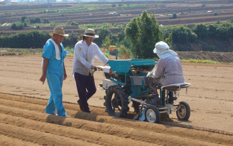 ジャガールの軌跡1