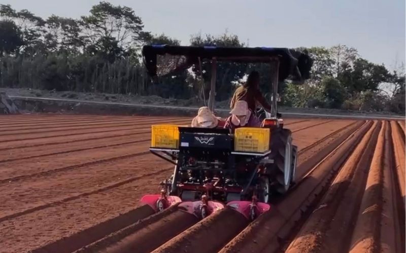 ジャガールダブル実演 長崎県雲仙市愛野町