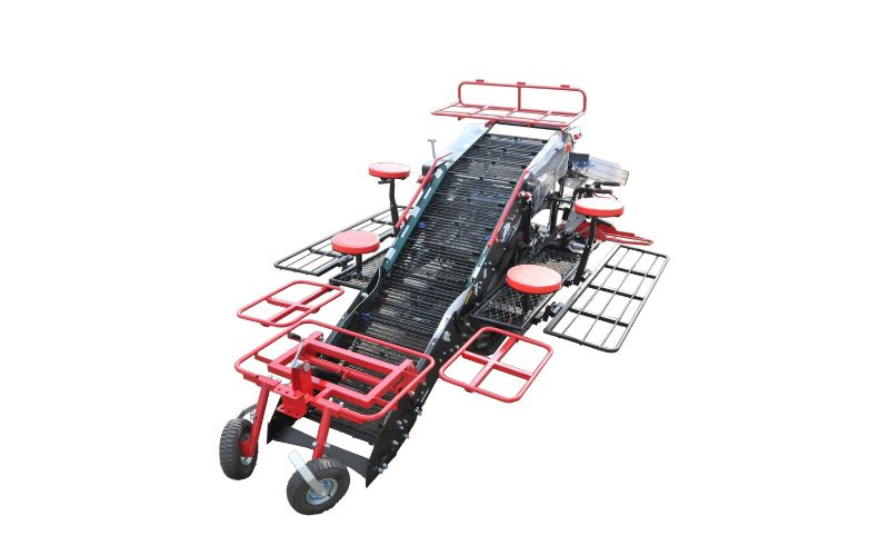 ブルガール　レンタル