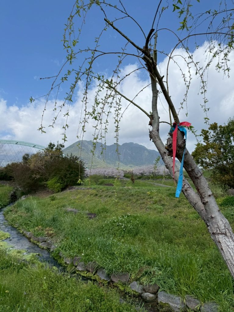 島原オルレ　ジャガール